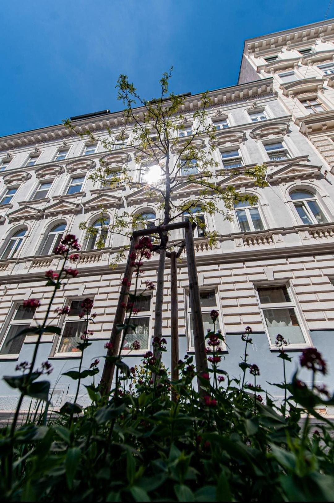 Vienna My City Apartment 2Bedroom Exteriér fotografie